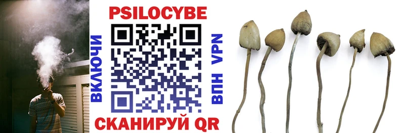 Псилоцибиновые грибы GOLDEN TEACHER  Купить закладки  Салават 